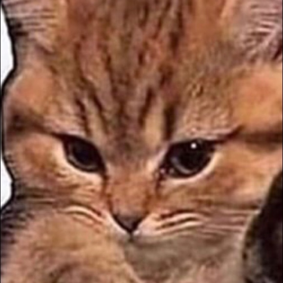 Meet your Posher, Alex - Picture 1 of 1